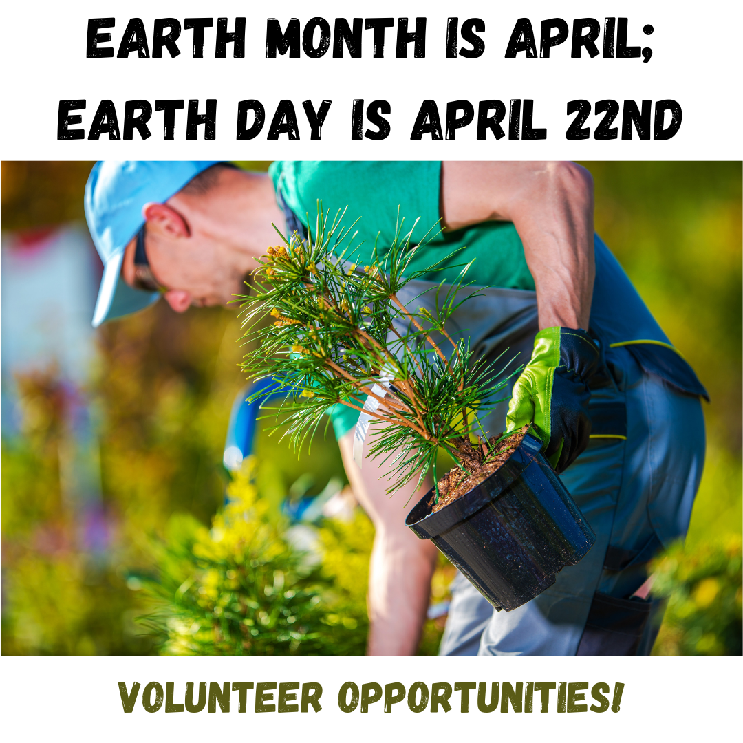 Earth Month planting trees
